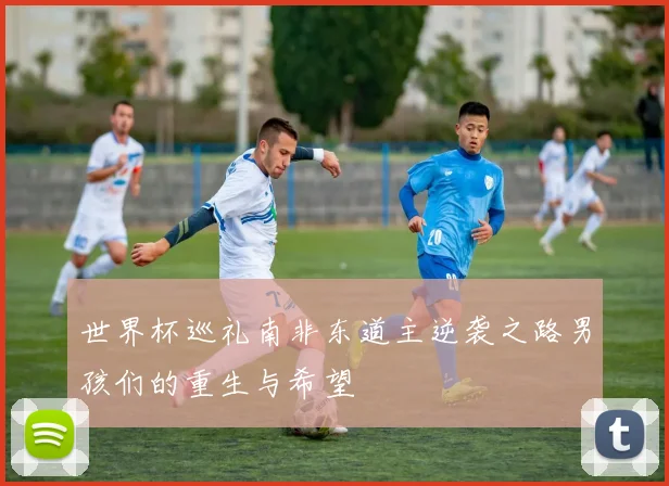 世界杯巡礼南非东道主逆袭之路男孩们的重生与希望