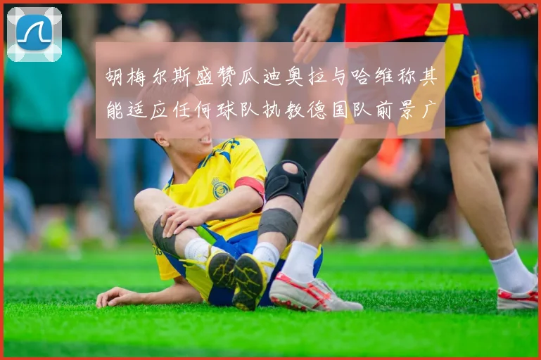 胡梅尔斯盛赞瓜迪奥拉与哈维称其能适应任何球队执教德国队前景广阔