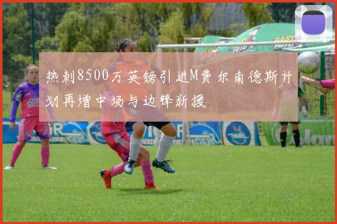 热刺8500万英镑引进M费尔南德斯计划再增中场与边锋新援