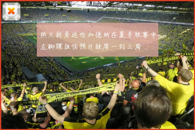 热火新秀迈伦加德纳在夏季联赛中左脚踝扭伤预计缺席一到三周