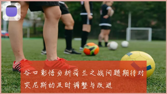 谷口彰悟分析荷兰之战问题期待对突尼斯的及时调整与改进